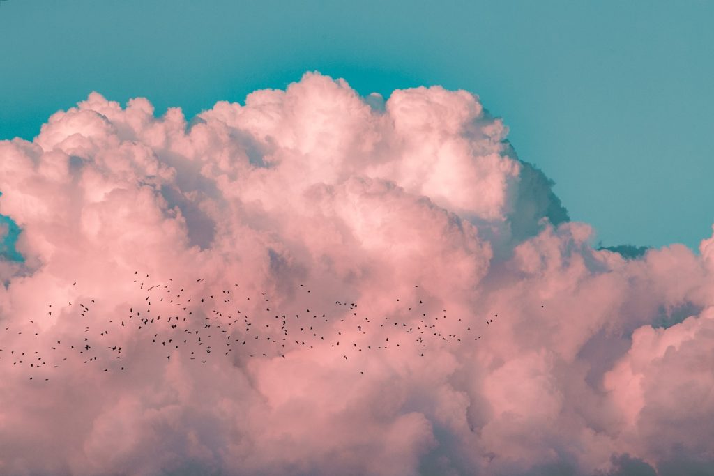 Bestaat de roze wolk eigenlijk wel?